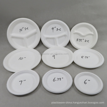 100% Degradable Eco-riendly Sugarcane Bagasse Plate for Food/Party/BBQ